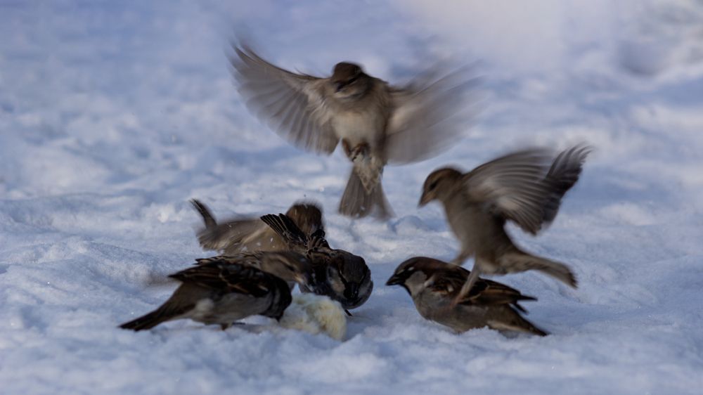 Photograph by Евгения Калугина