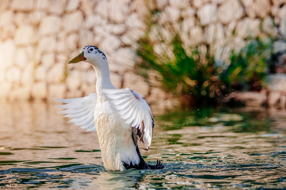 Фотография автора Анастасия Голубева