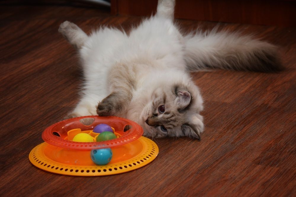 Photograph by Римма Большакова