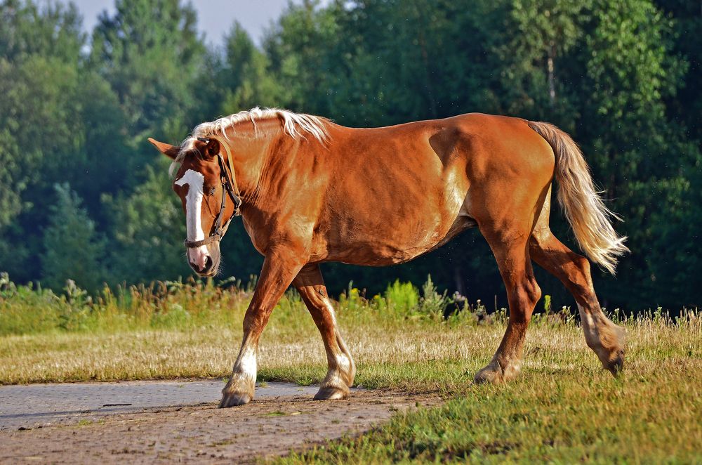 Фотография автора Антип
