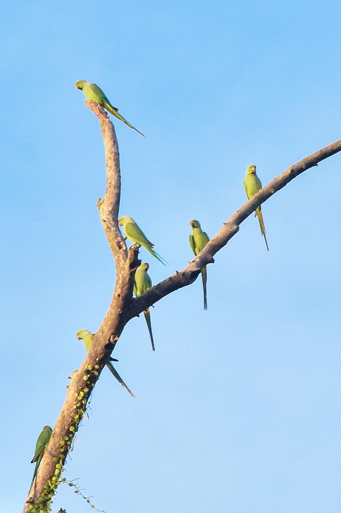 Photograph by LAHIRU GURUGE