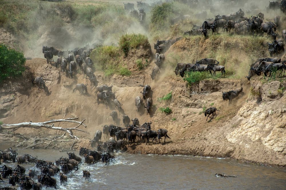 Фотография автора Sajeev Krishnan