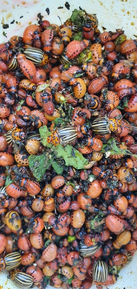 Photograph by Дмитрий