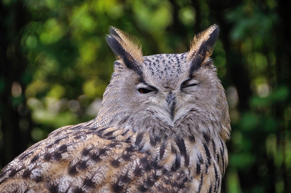 Photograph by Михаил Кинеев