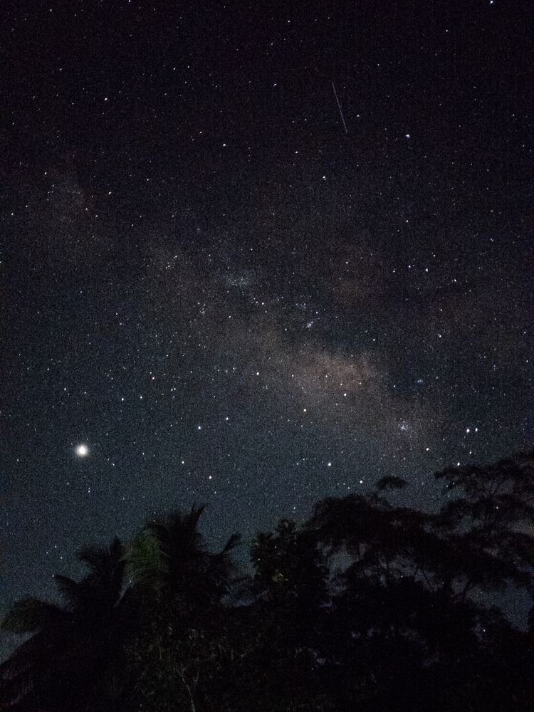 Photograph by Mujahidul Islam Muhammad