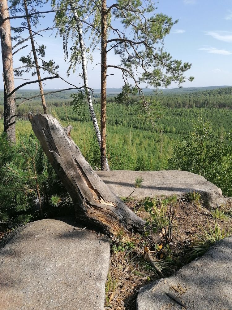 Фотография автора Юлия Лубкина