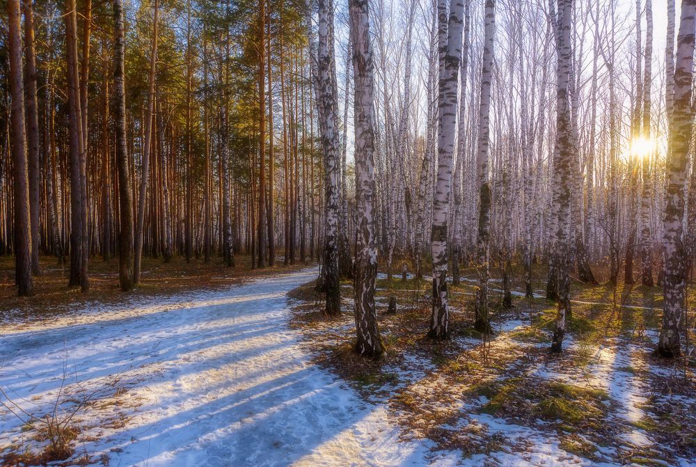 Последний снег.
