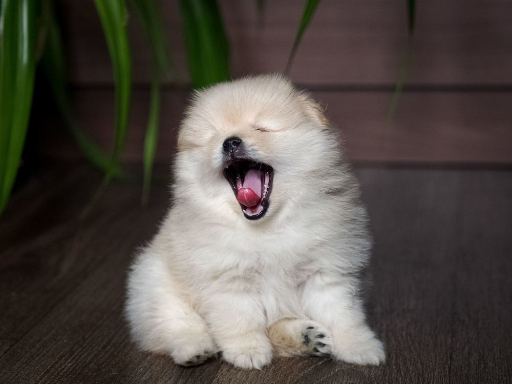 Photograph by Дмитрий Чирков