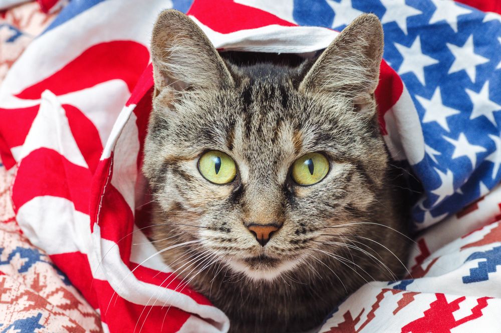 Photograph by Дмитрий Долгих