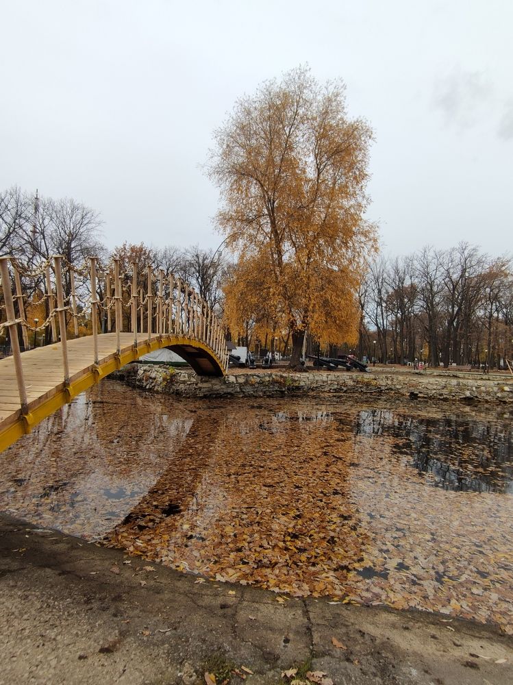 Photograph by Светлана Холодова