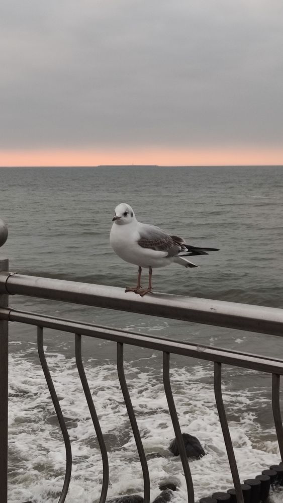 Photograph by Светлана Холодова