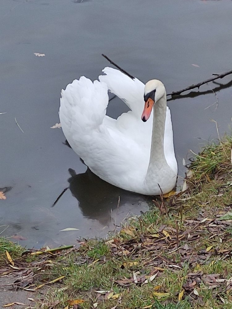 Photograph by Светлана Холодова