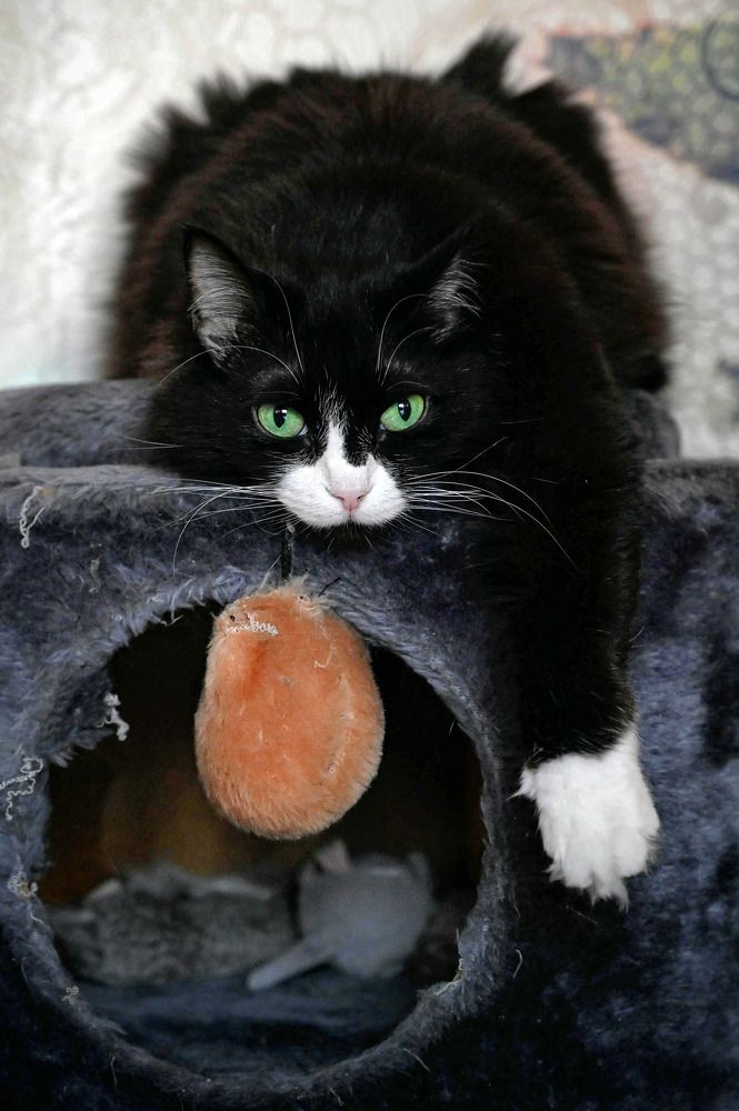 Photograph by Дмитрий Чирков