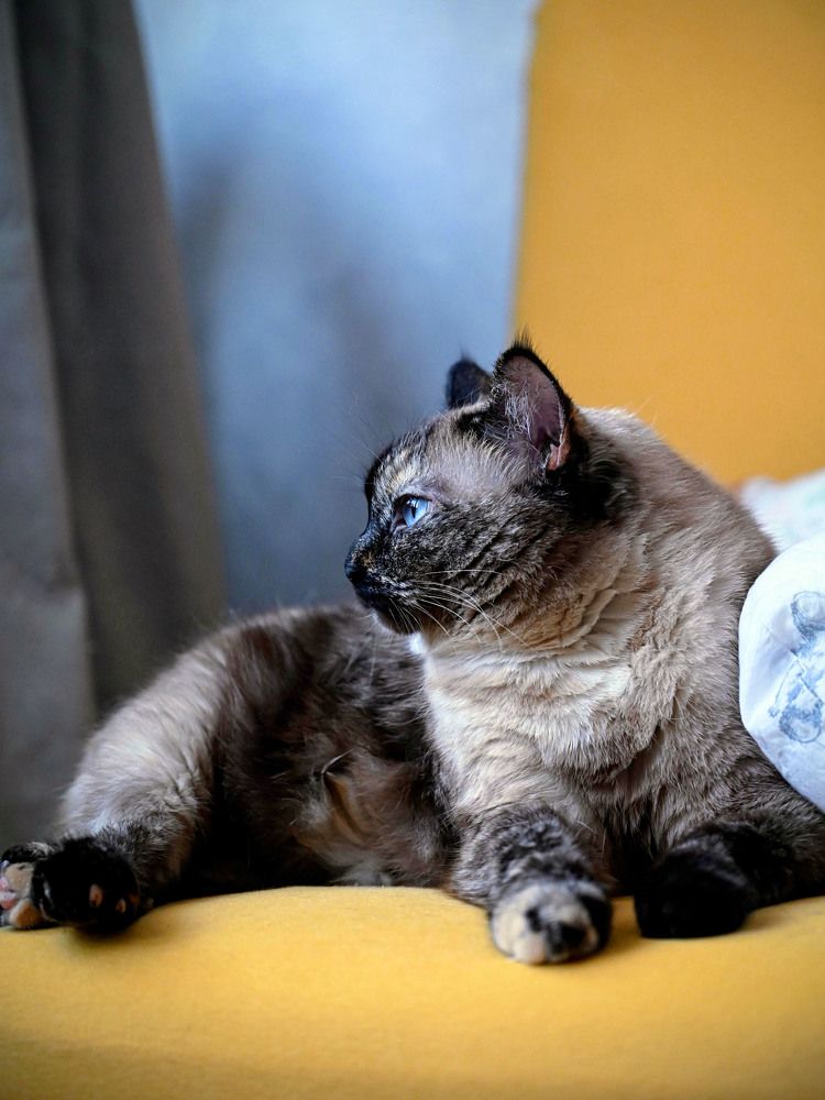 Photograph by Дмитрий Чирков