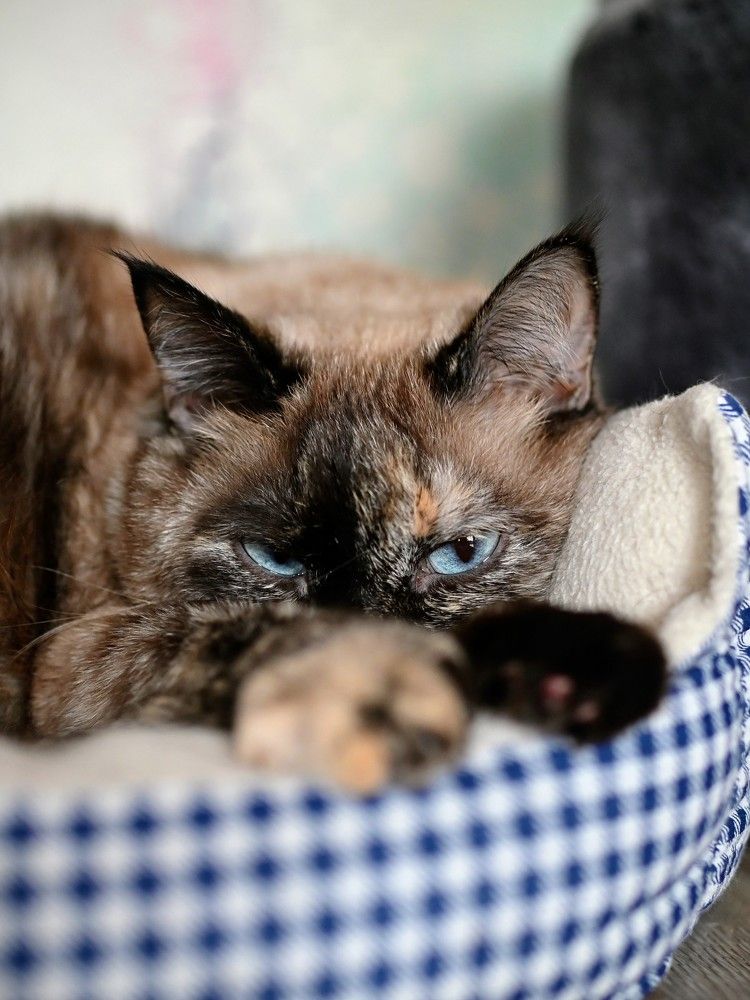 Photograph by Дмитрий Чирков