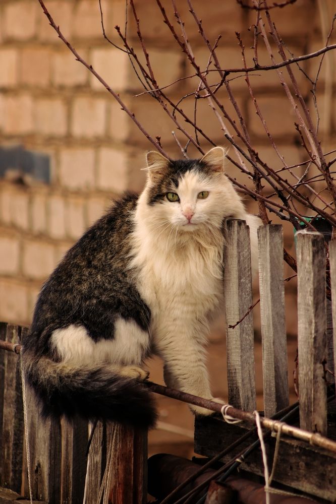 Photograph by Дарья Алексеева