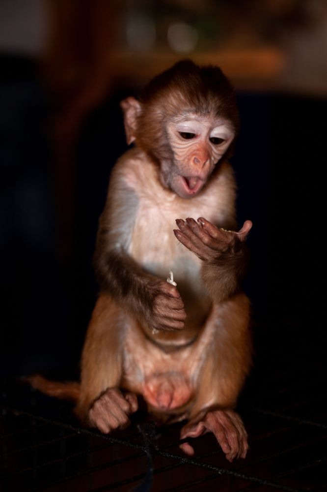 Photograph by Виктор Холодов