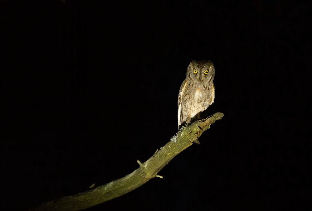 Photograph by Владимир Брагилевский