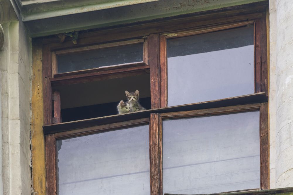 Photograph by Владимир Брагилевский