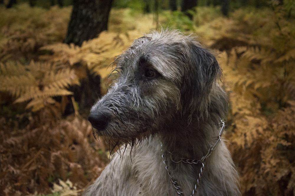 Photograph by Татьяна Воронцова