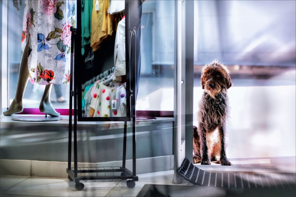 Photograph by Игорь Майоров