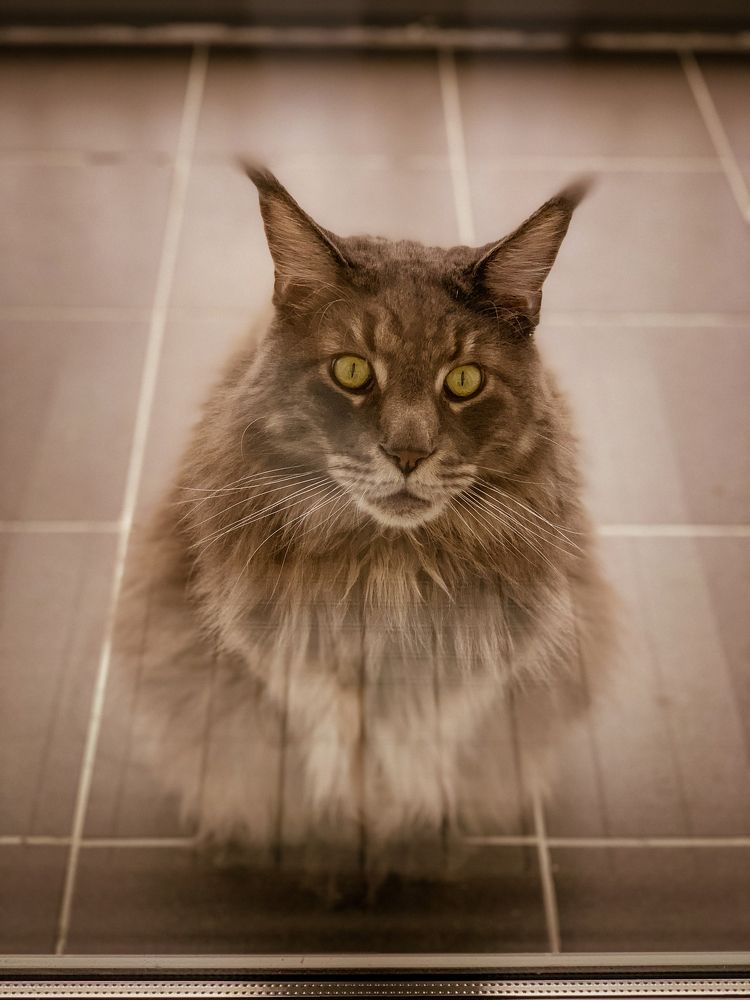 Фотография автора Zhenia Mikhalchenko