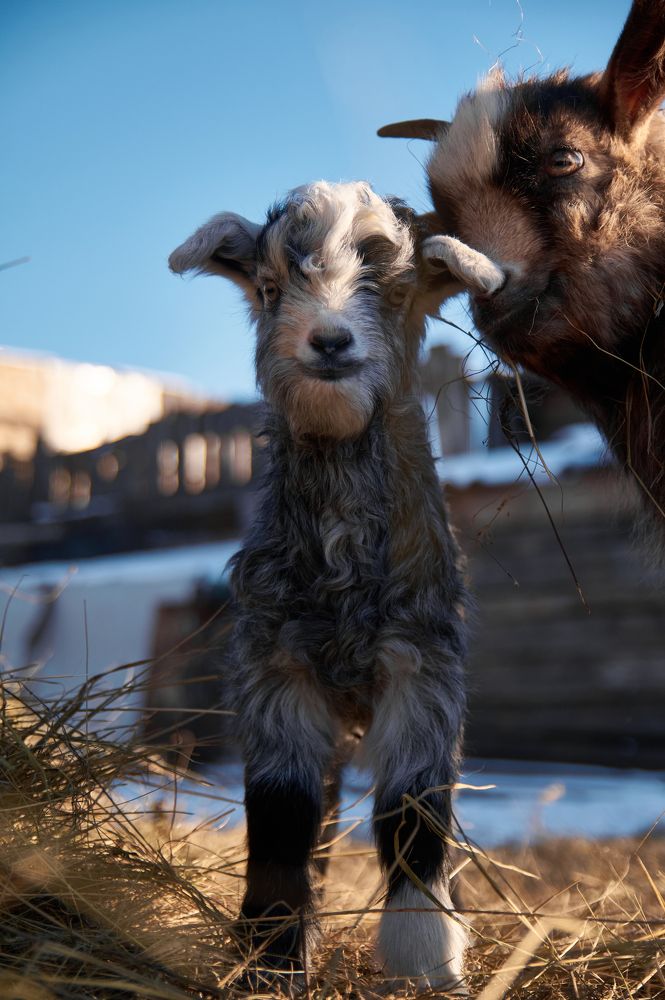 Photograph by Анастасия Пельменёва