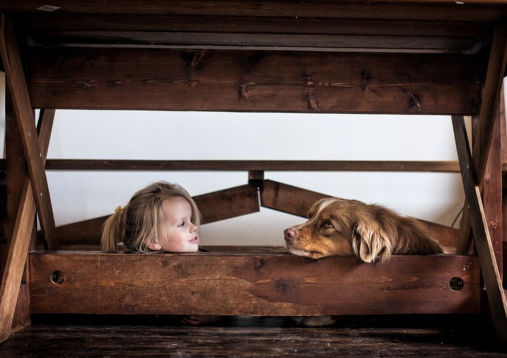 Photograph by Майя Полещук