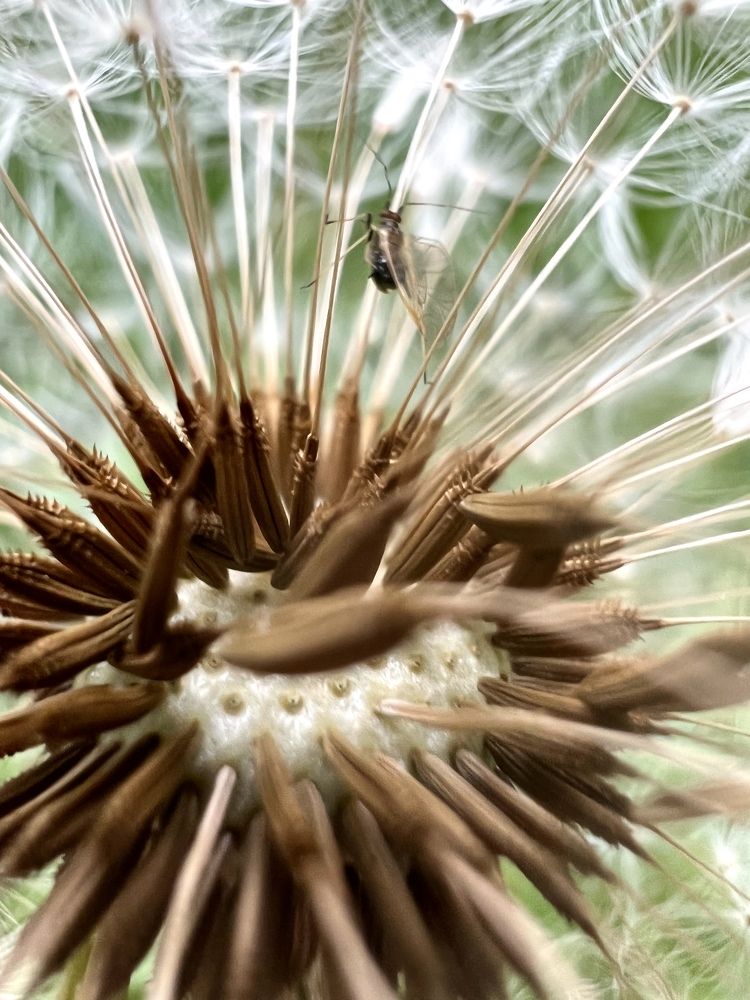 Photograph by Новожилов Сергей