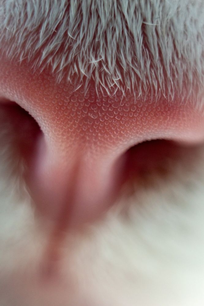 Photograph by Артем Штылев