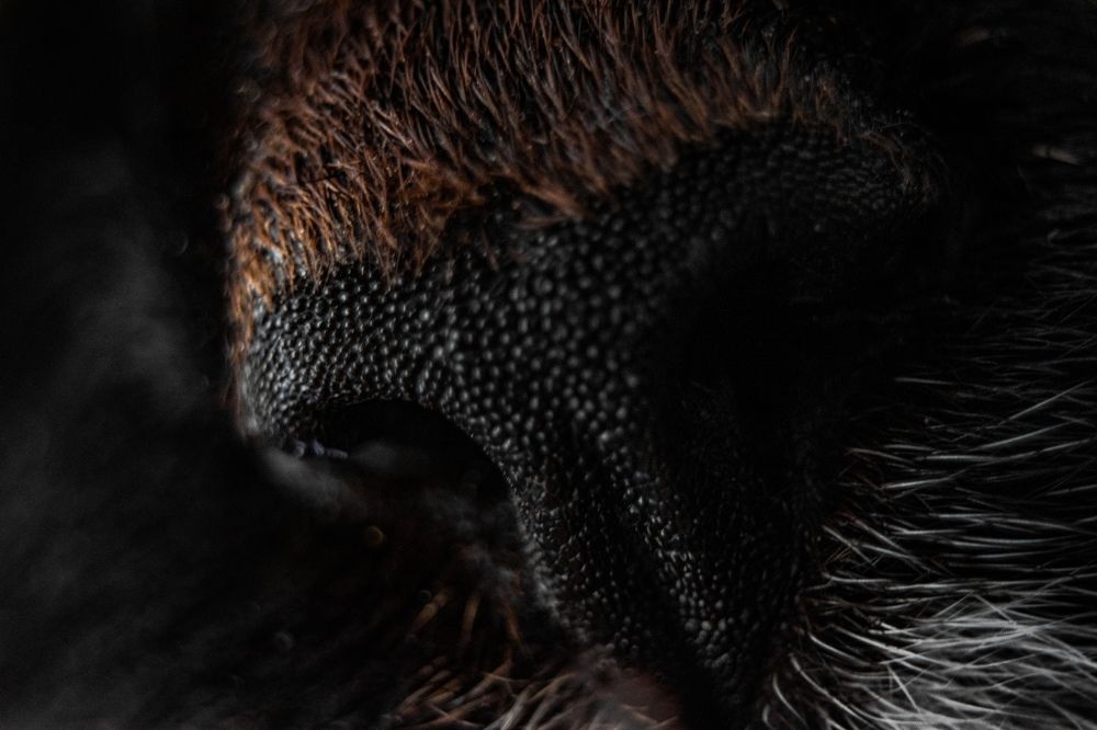 Photograph by Артем Штылев