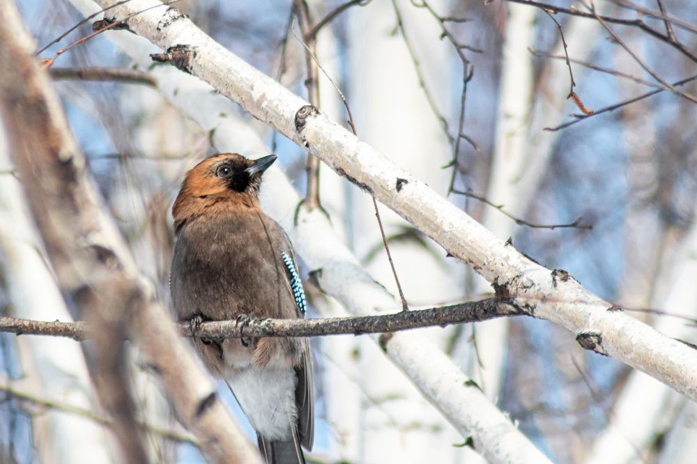 Photograph by Артем Штылев