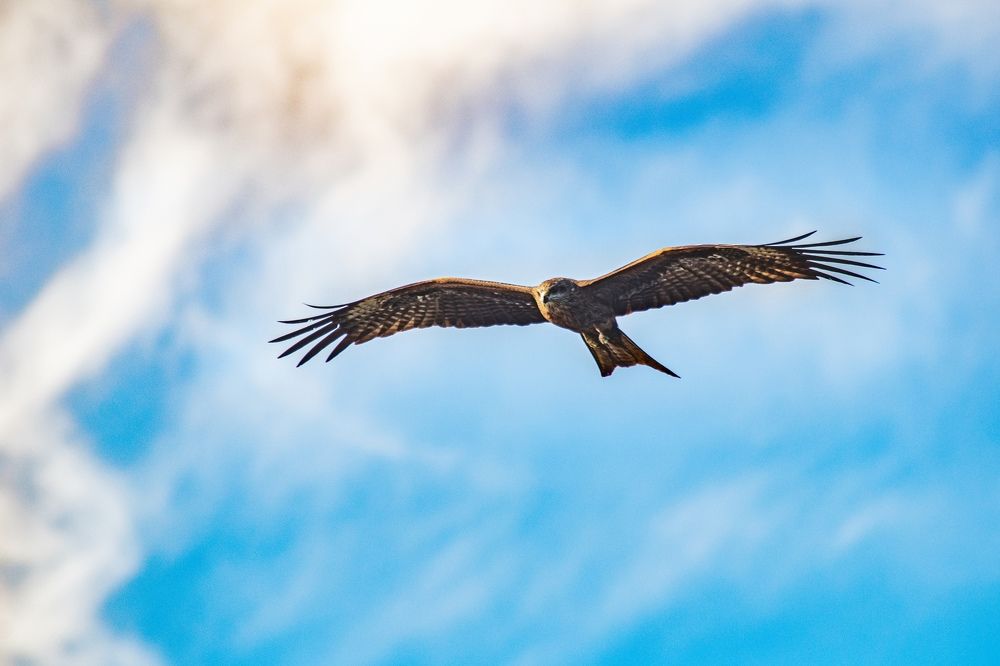 Photograph by Артем Штылев