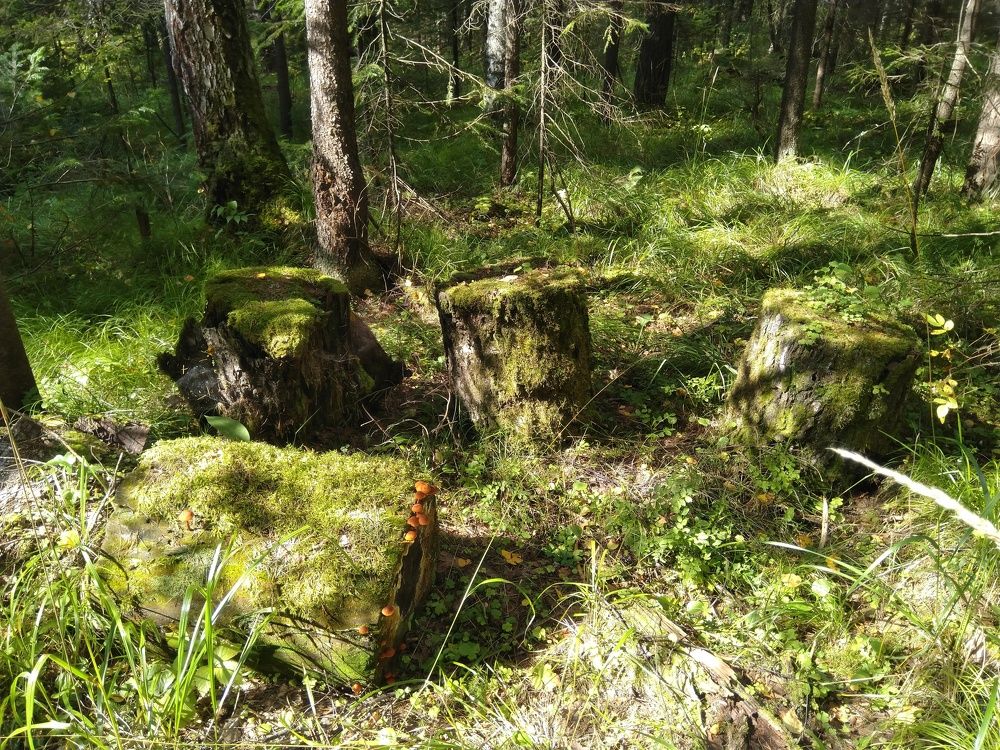 Photo #7490802