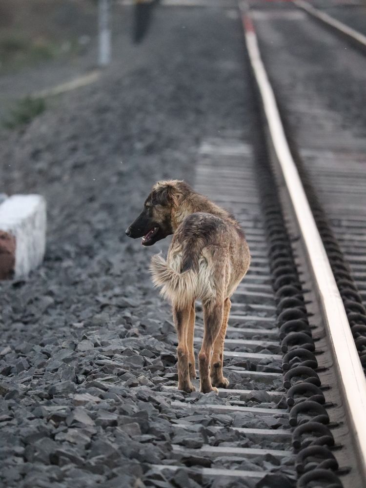 Photograph by Rishikesh Budhbhatti