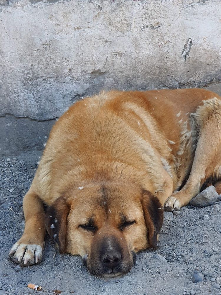 Photograph by Rishikesh Budhbhatti