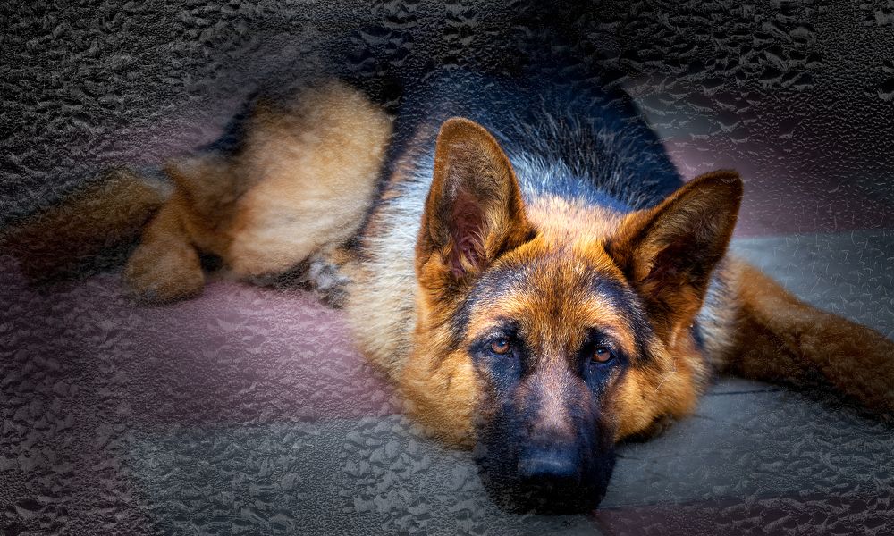 Photograph by Виктор Холодов