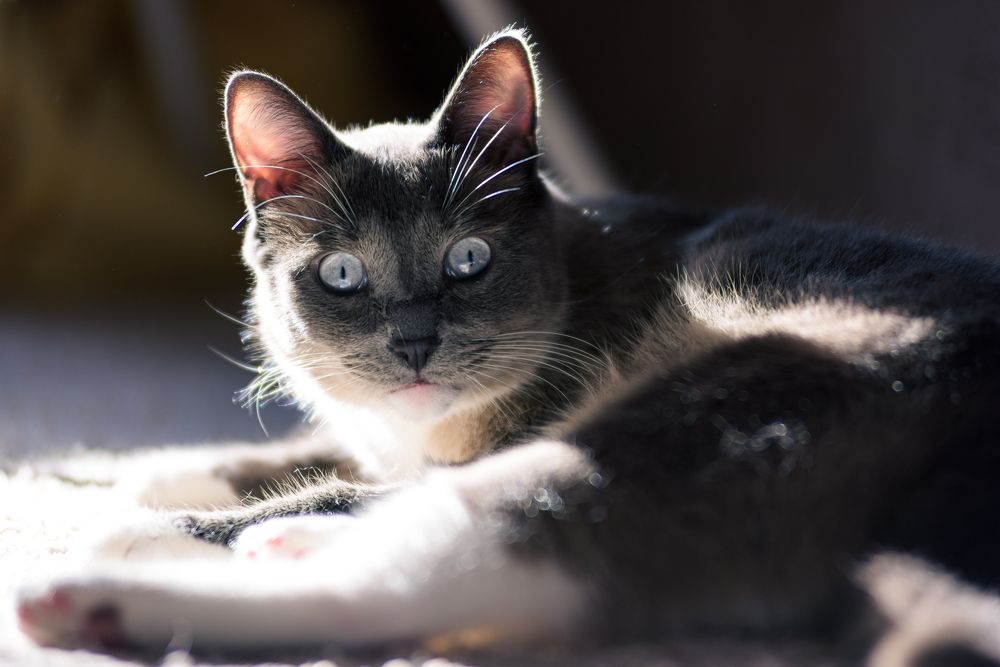 Photograph by Равиль Исмаилов