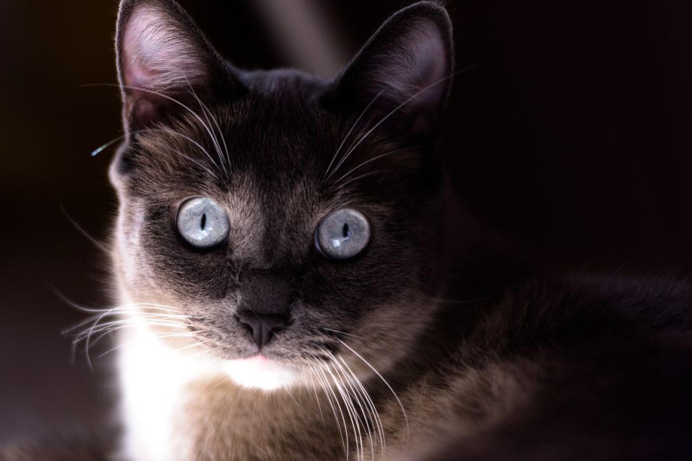 Photograph by Равиль Исмаилов