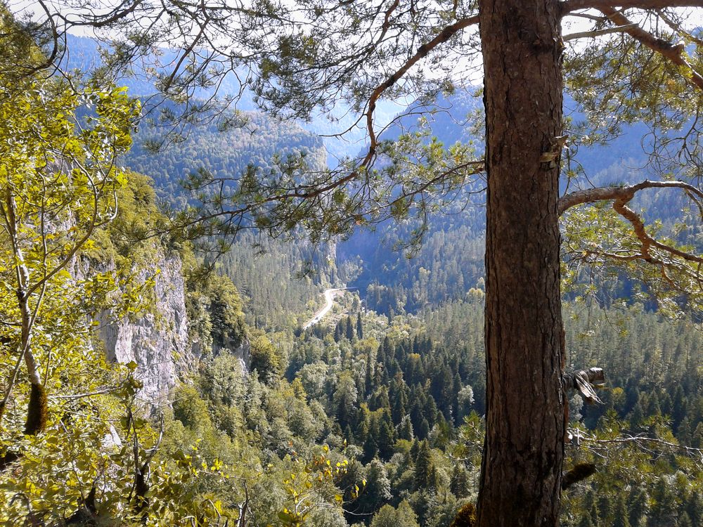 Photograph by Евгения Павлова