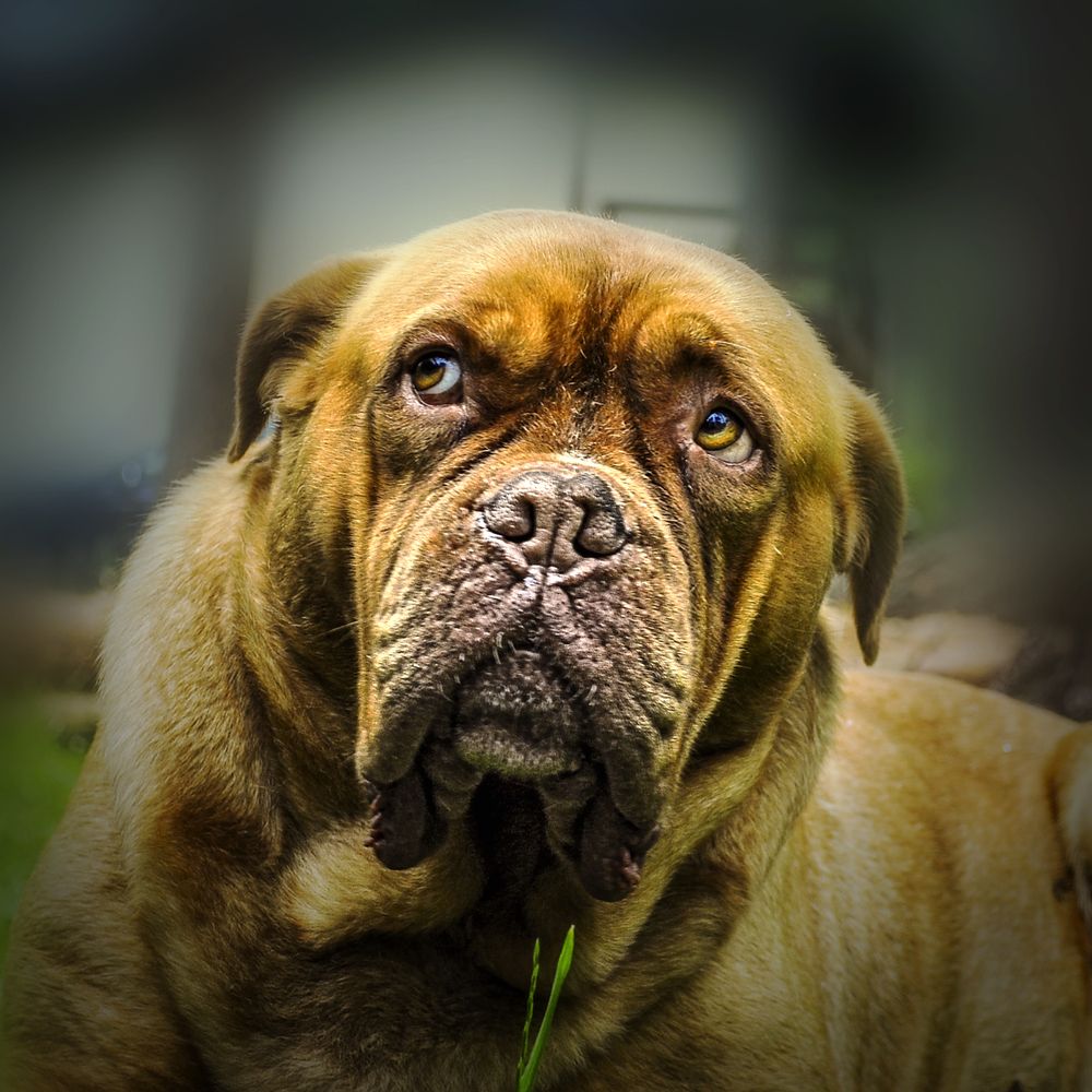 Грусть и тоска