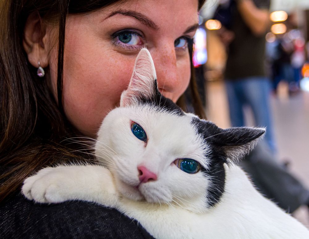 Взгляд в глаза