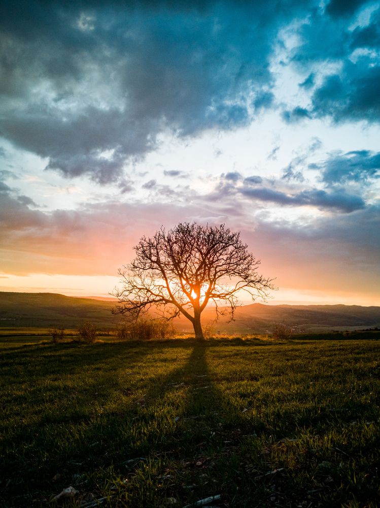 Photograph by Радослав Сотиров