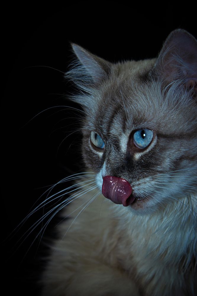 Photograph by Евгения Калугина