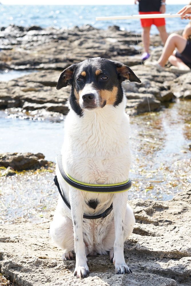 Photograph by Эвелина Моисеева