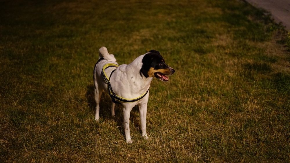 Photograph by Эвелина Моисеева