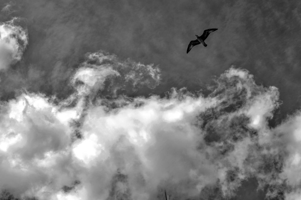 Photograph by SIMONE CIULLI