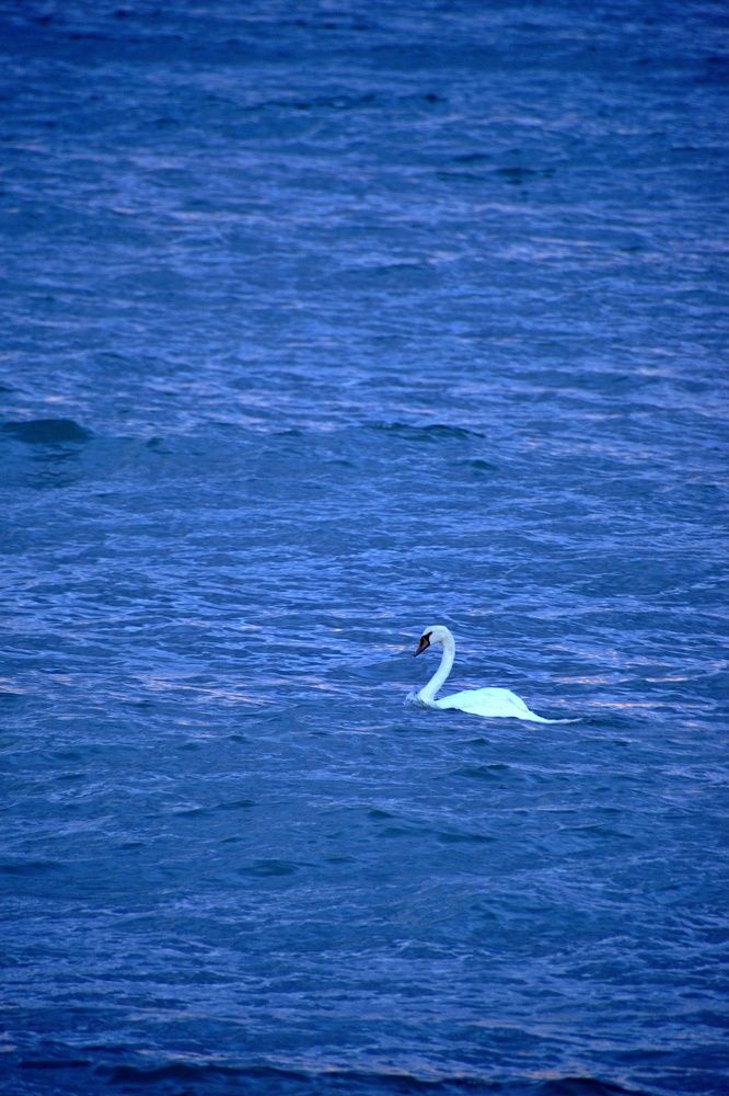 Photograph by SIMONE CIULLI