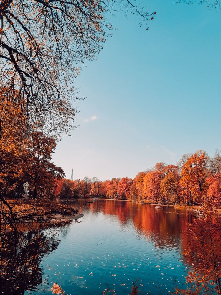 На Елагином острове