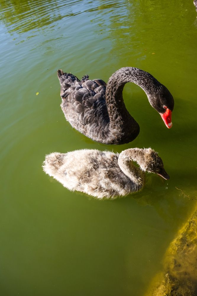 Фотография автора Валентина Рихмаер